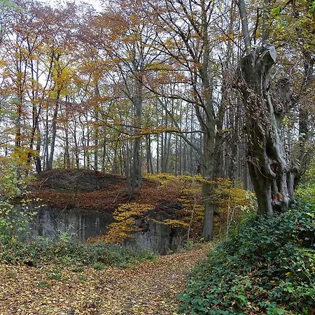 Dom wakacyjny La Balade D'annie